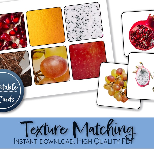 Texture Matching Activity | Montessori Cards Fruit Theme Preschool Activity Memory Homeschool Busy Book Independent Play Toddler Learning