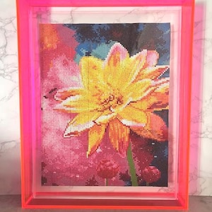 Neon Colored Floating Frames