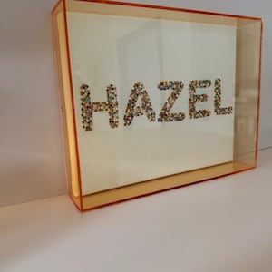 May include: A framed artwork with the name "HAZEL" spelled out in colorful, textured letters. The artwork is encased in a clear, orange-tinted acrylic box, creating a modern and vibrant display. The background is a light cream color.