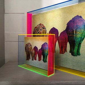 Multi-Colored Neon Acrylic Shadowbox