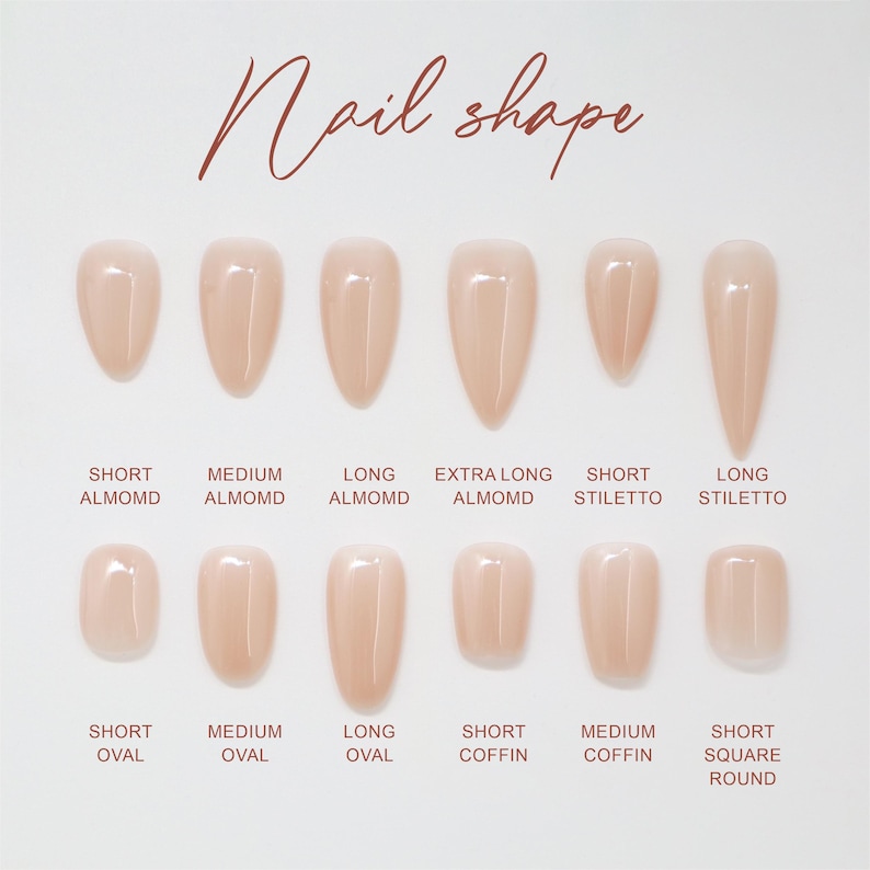 May include: A chart titled Nail shape displaying twelve beige artificial nail samples in various styles including short, medium, long, and extra long almond, short and long stiletto, short, medium, and long oval, short and medium coffin, and short square round.