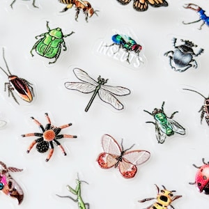 Adesivo per unghie a forma di insetto, ragno, coccinella, farfalla.