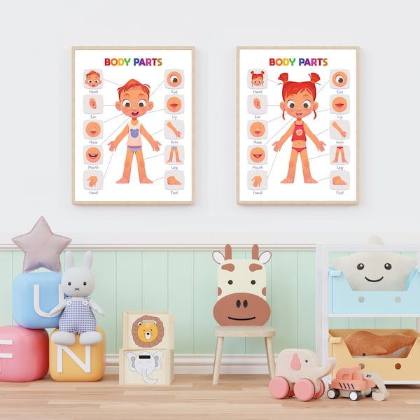 Daycare Human Body Parts Wall Decor, Nursery Body Parts Room Decor, Educational poster, Toddler Playroom, Toddler Room Decor