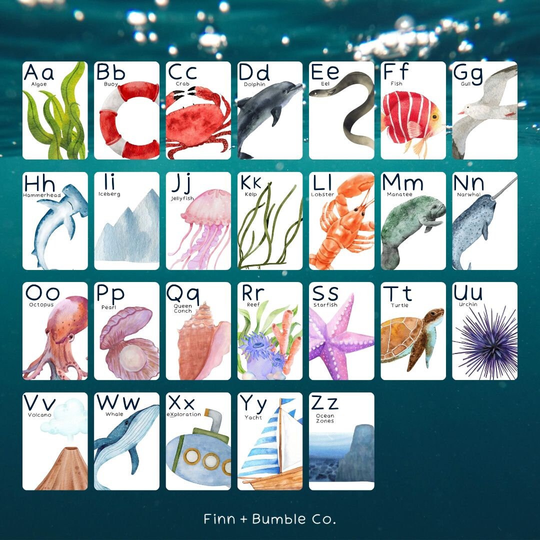 Ocean Alphabet Flashcards Alphabet Flashcards ABC - Etsy Canada