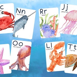 Cartões de alfabeto de animais oceânicos | Cartões de alfabeto para aprender o alfabeto | Cartões de alfabeto ABC | Cartões de alfabeto ABC temáticos oceânicos