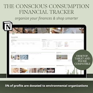 Conscious Consumption Financial Tracker | Notion Template, Notion Financial Tracker