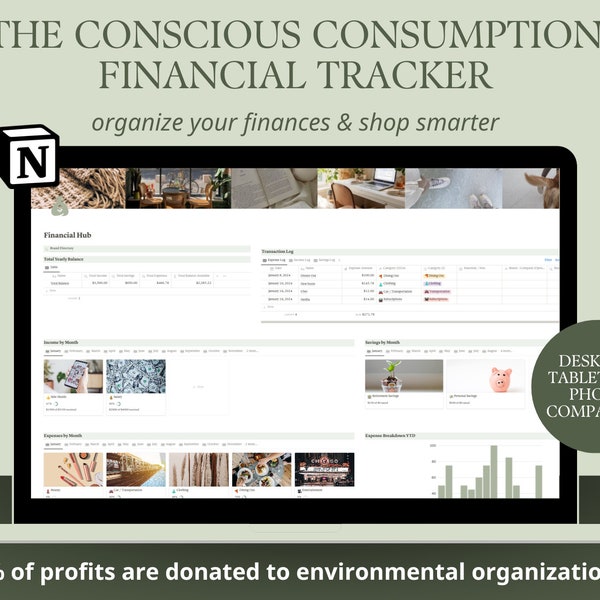 Conscious Consumption Financial Tracker | Notion Template, Notion Financial Tracker