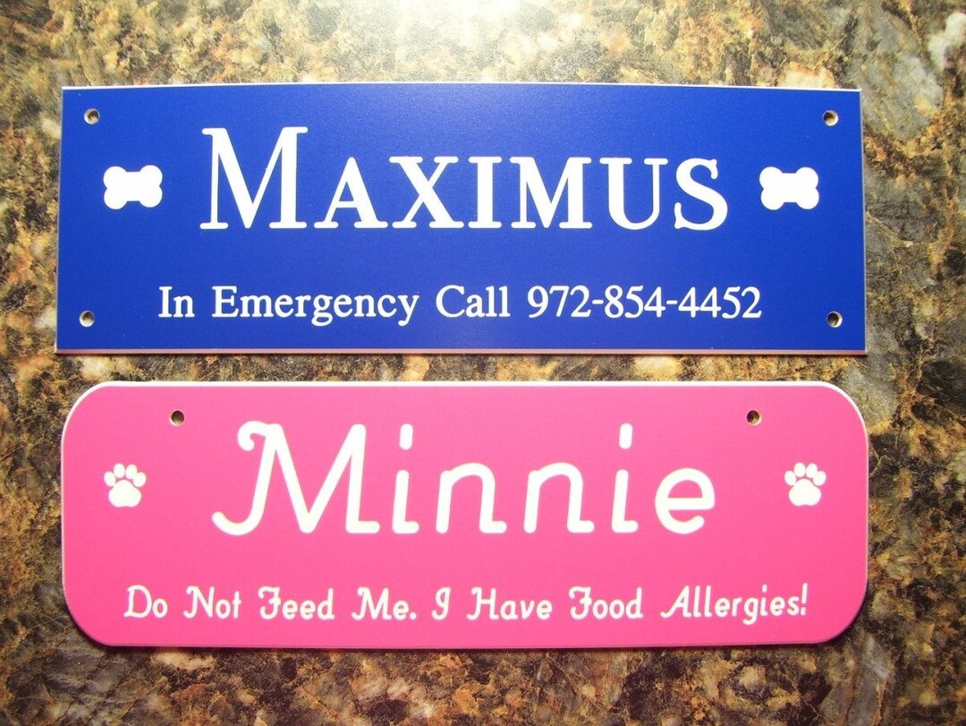 2x 6 Custom Laser Engraved Pet Crate Carrier or Dog House Tags. 14