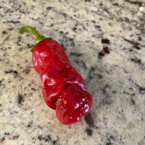 Peter Pepper Seeds