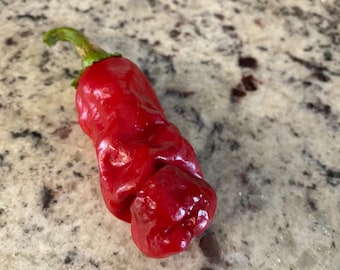 Peter Pepper Seeds