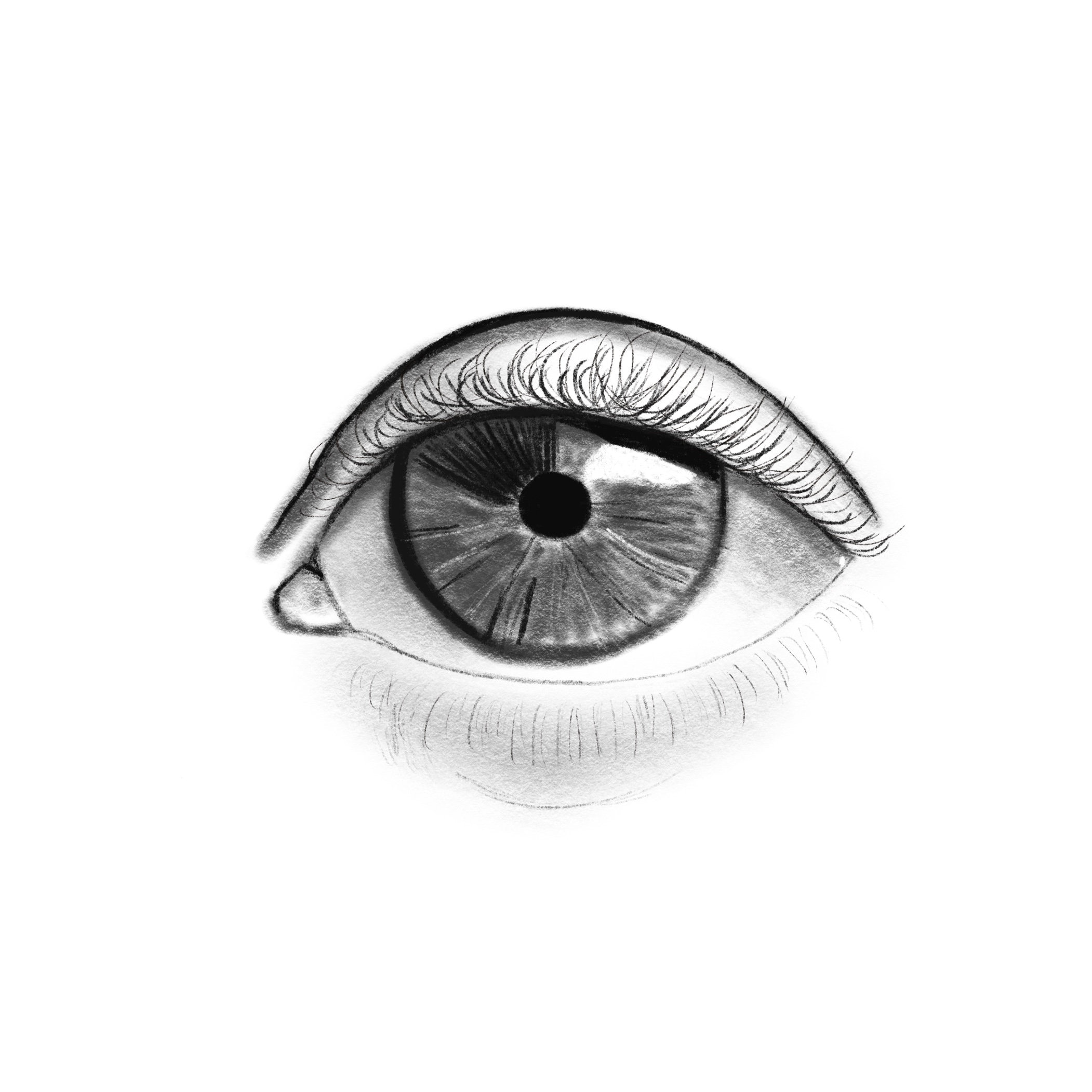 Super Realistic Eye Drawing Clipart