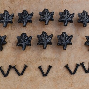 Könnte beinhalten: Zehn schwarze, blattförmige Schubladenknöpfe aus Metall mit dekorativem Design und zehn schwarzen Schrauben.