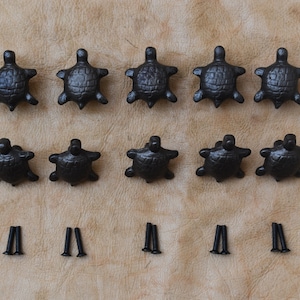 Könnte beinhalten: Zwölf schwarze, gusseiserne Schubladengriffe in Form von Schildkröten mit Schrauben. Die Griffe sind in drei Reihen zu vier angeordnet.