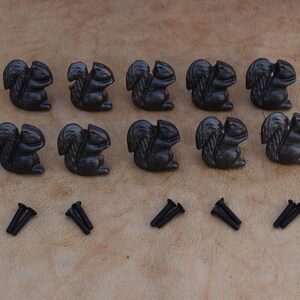 Puede incluir: Doce tiradores de cajón de hierro fundido negro en forma de ardilla con acabado desgastado y doce tornillos negros.