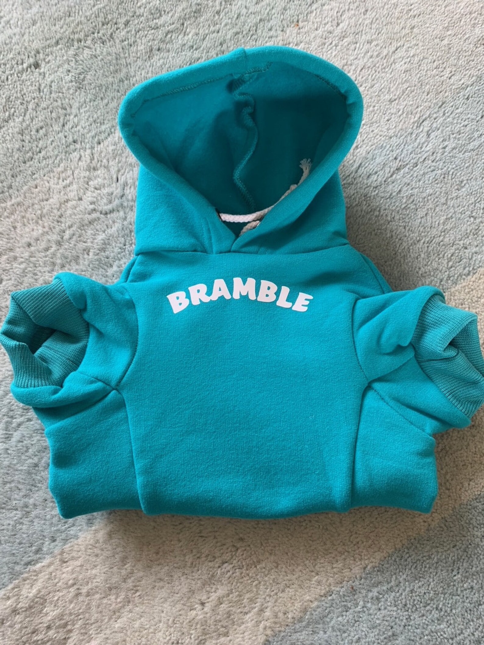 Personalised Pet Hoodie Dog Hoodie with name Personalised Etsy