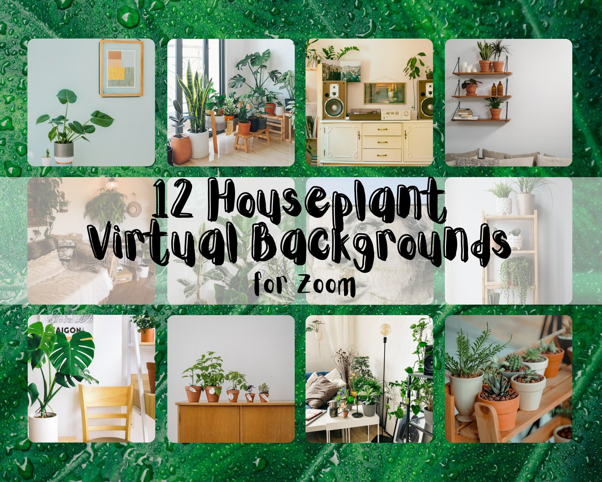 12 Beautiful Houseplant Zoom Backgrounds Instant Download Etsy