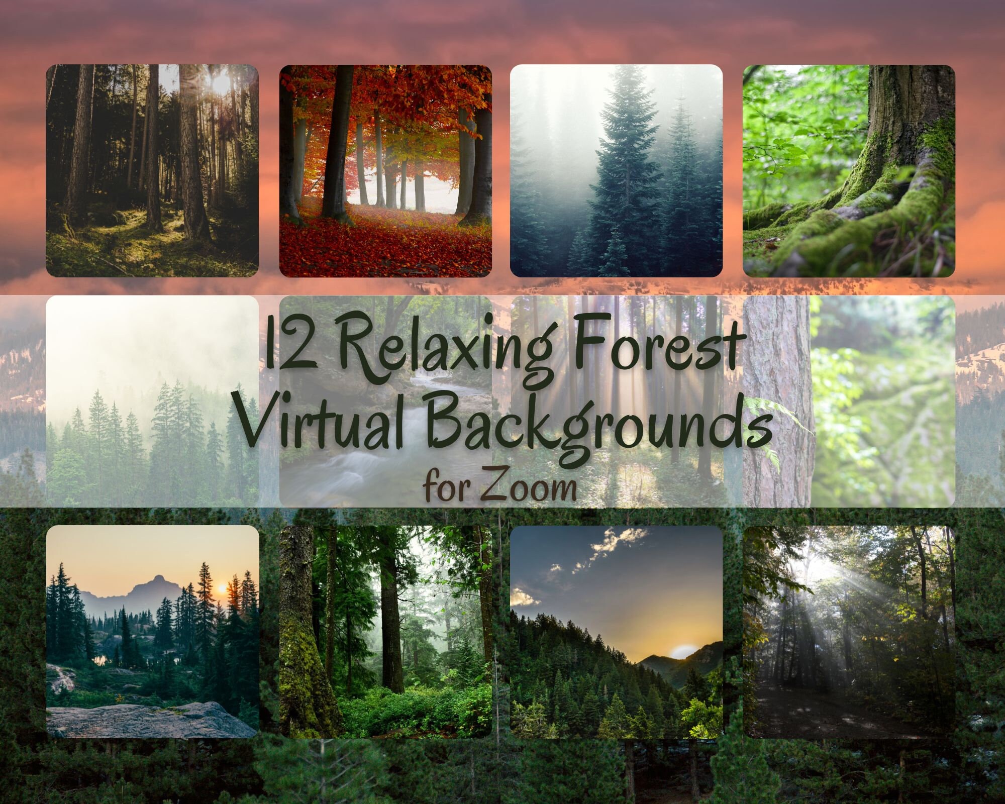 12 Relaxing Forest & Woods Scenery Zoom Virtual Backgrounds Instant