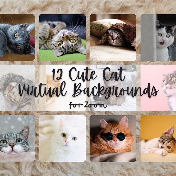 12 Cute & Cozy Cats and Kittens Zoom Virtual Backgrounds Instant Download 1280X720 PNG