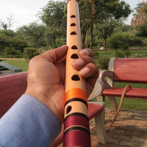 Può includere: Un flauto di legno con finitura naturale, accentuato da fasce arancioni e bordeaux. Lo strumento ha diversi fori per le dita e un'estremità decorativa. Il flauto è tenuto in mano su uno sfondo di parco.