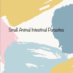 May include: Abstract background with pastel pink, yellow, and blue brushstrokes. The text "Small Animal Intestinal Parasites" is centered on the image.