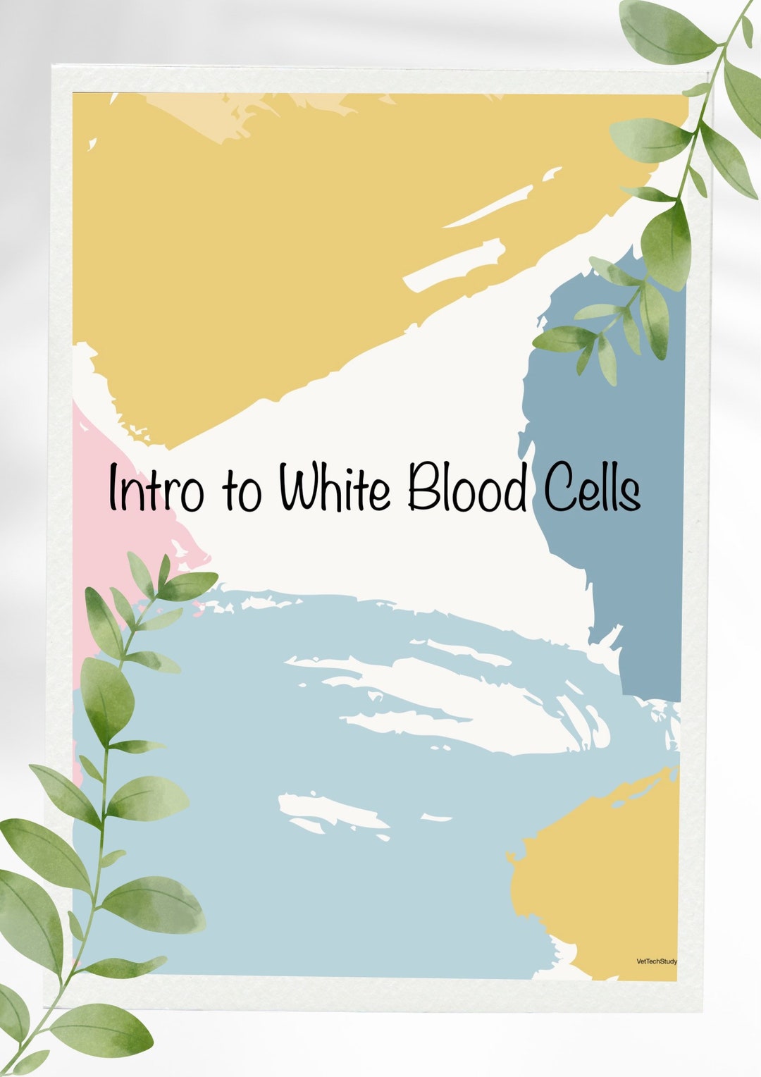 White Blood Cells Study Notes - Etsy