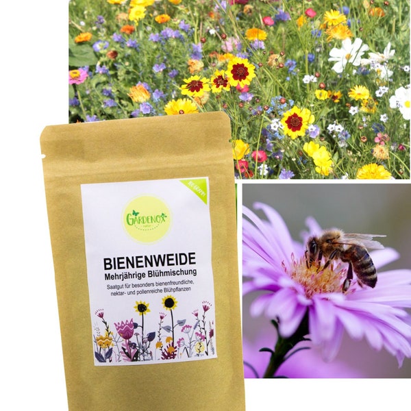 Gardenox Bienenwiese Blumenmischung Wildblumen Samen Bienenweide 100 g