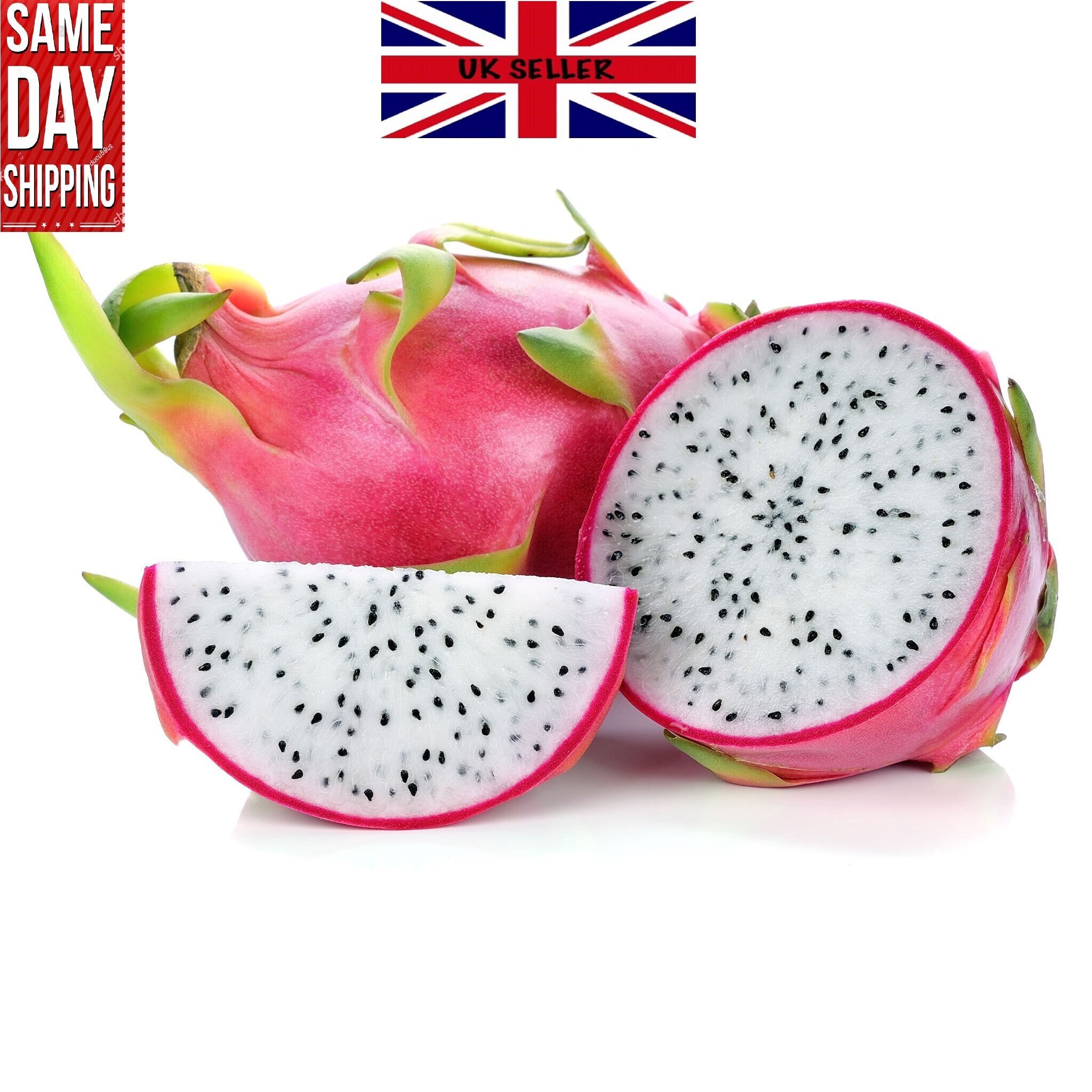 Pitaya Hylocereus Fruit Giant Dragon Pitahaya 50 Seeds Fresh Pitaya Hylocereus Fruit Giant Dragon Pitahaya 50 Seeds Fresh