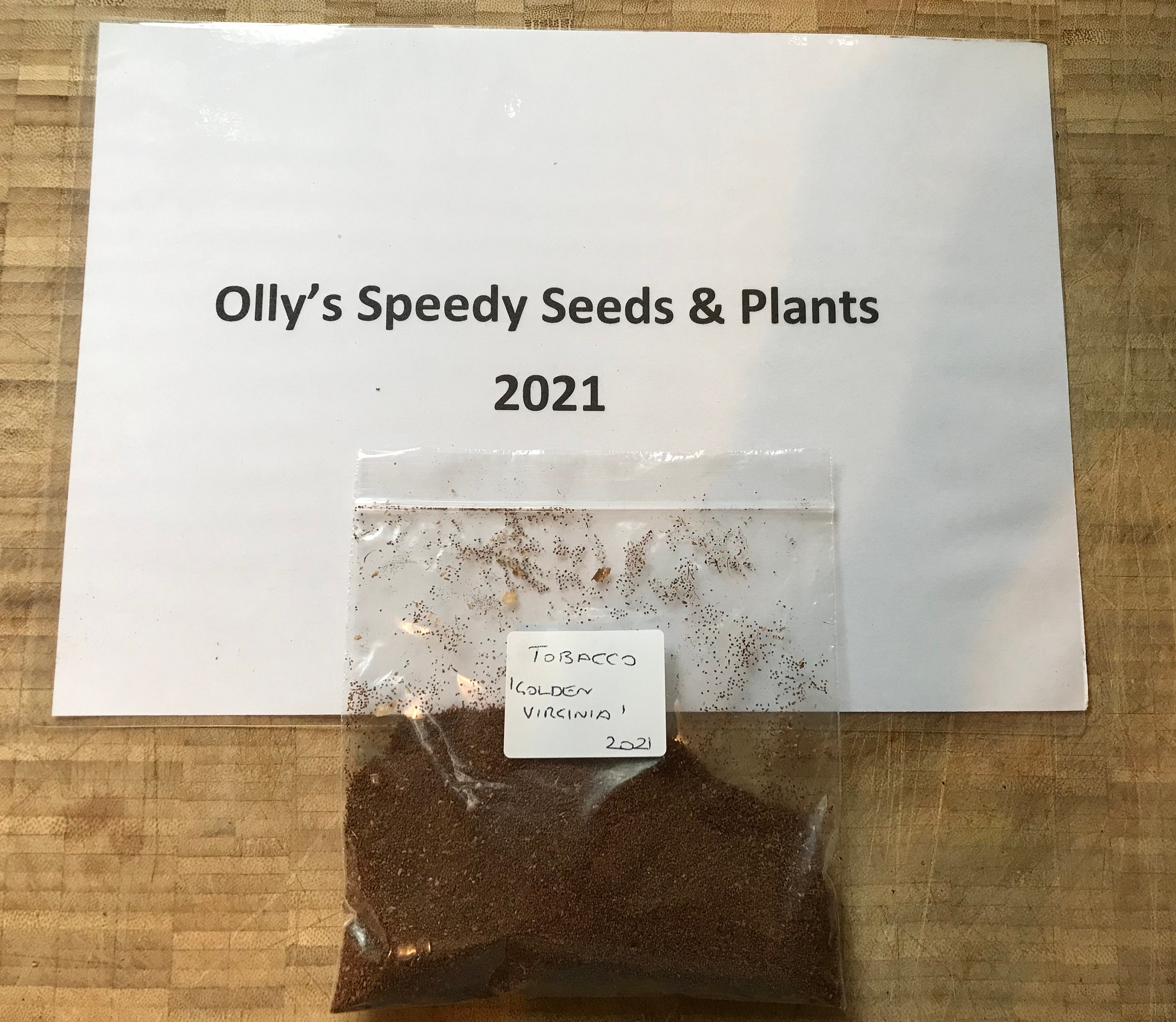 golden virginia tobacco seeds uk Tobacco (golden Virginia) | 500+ Fresh Seeds Approx | UK Organically Grown  2025 Harvest
