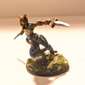 Tabaxi Fighter