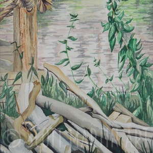 Impression aquarelle sur le canal Érié : Schoen Place, Rochester NY