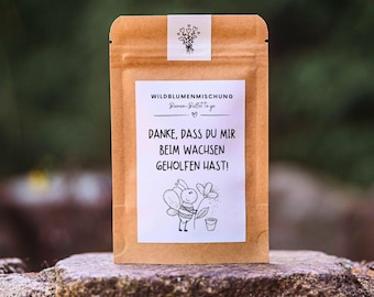 Danke, dass du mir beim Wachsen geholfen hast! – Blumensamen Geschenk für Erzieher, Lehrer & Kindergarten