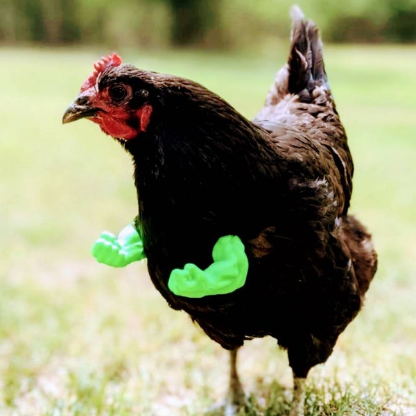 Hulk arm for chicken 3D printing