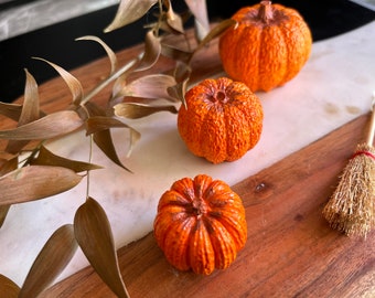 Pumpkin Trinket set of 3, Halloween Decor, Autumn / Fall Lovers, Cottagecore Pumpkins, Jesmonite Home Decor