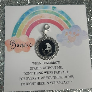 Perte d’animal / Chien / Chat / Animal / Épingle de charme de mémoire / Penser à toi / Fermoir / Carte de soutien sentimentale / Désolé pour votre perte / Mémorial / Jeton Câlin / Cadeau de sympathie