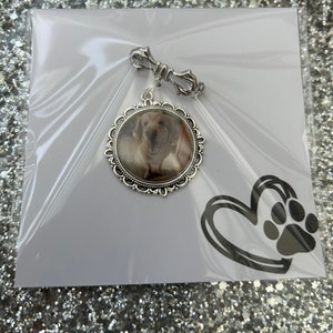 Perte d'un animal de compagnie/chien/chat/animal/épingle à souvenir/pensée à vous/carte de soutien sentimentale/désolé pour votre perte/à la mémoire/jeton câlin/cadeau de sympathie/aimé(e)