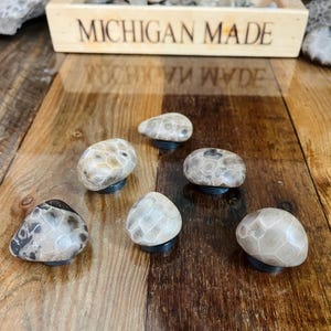 Petoskey Stone Refrigerator Magnets