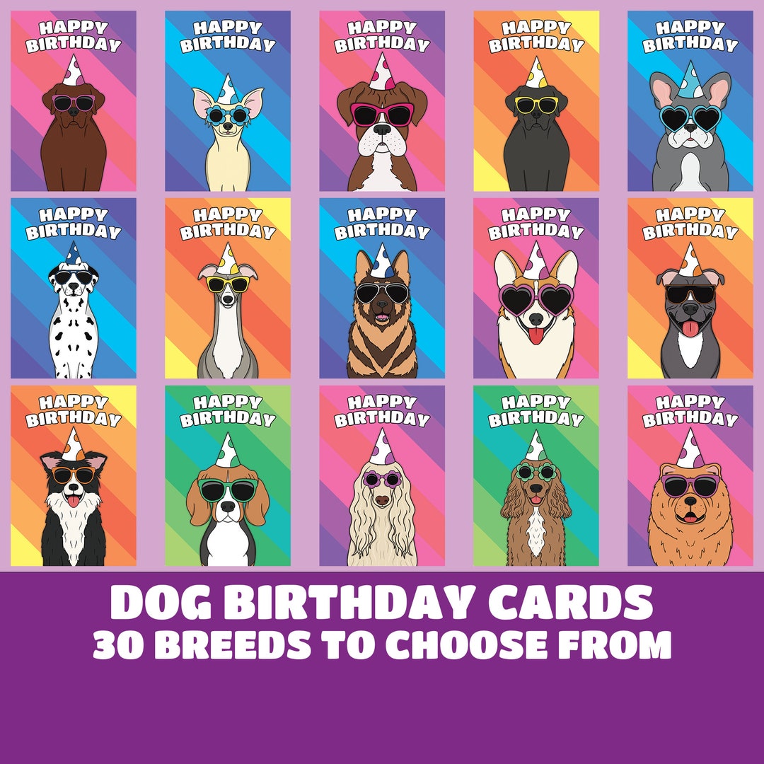 Happy Birthday Cards From the Dog, Dog Owner Greeting Cards for Pet ...