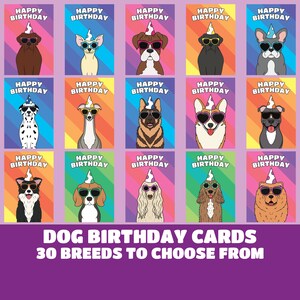 Tarjetas de feliz cumpleaños del perro, tarjetas de felicitación para dueños de perros para amantes de las mascotas