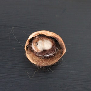 May include: A close-up of a walnut shell with a white felt ball inside. The shell is brown and has a rough texture. The felt ball is soft and fluffy.
