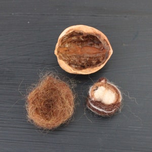 May include: A brown, empty walnut shell, a small brown nest made of fibers, and a brown and white felt mouse curled up in a nest.