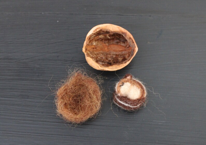 May include: A brown, empty walnut shell, a small brown nest made of fibers, and a brown and white felt mouse curled up in a nest.