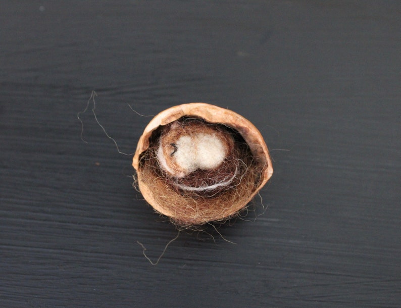 May include: A close-up of a walnut shell with a white felt ball inside. The shell is brown and has a rough texture. The felt ball is soft and fluffy.