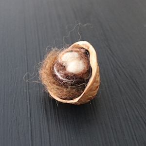 May include: A brown, half-opened walnut shell with a small nest of brown and white wool inside.