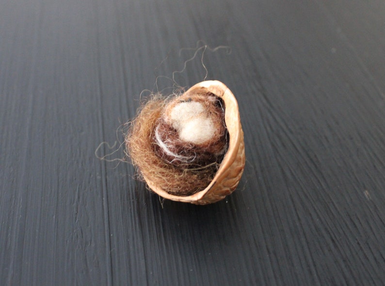 May include: A brown, half-opened walnut shell with a small nest of brown and white wool inside.