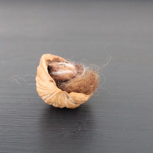 May include: A small, brown, felt ball nestled inside a halved walnut shell.