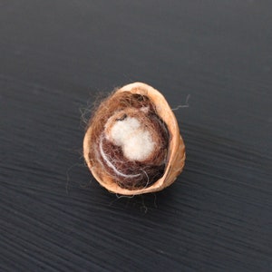 May include: A brown, empty walnut shell with a white and brown wool nest inside.