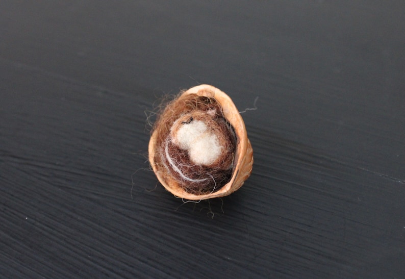 May include: A brown, empty walnut shell with a white and brown wool nest inside.