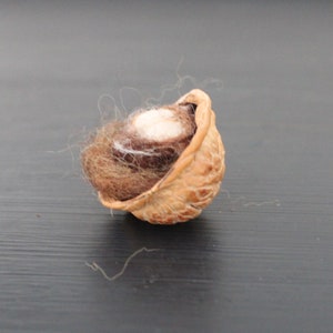 May include: A small, brown, and white,  walnut shell with a soft, white, fluffy material inside.