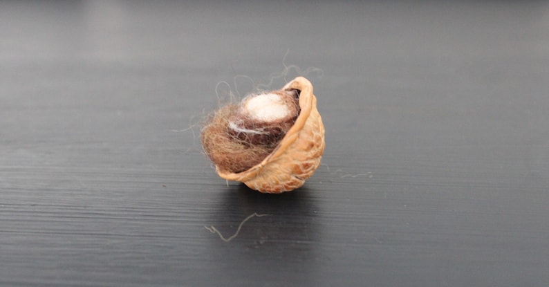 May include: A small, brown, and white,  walnut shell with a soft, white, fluffy material inside.
