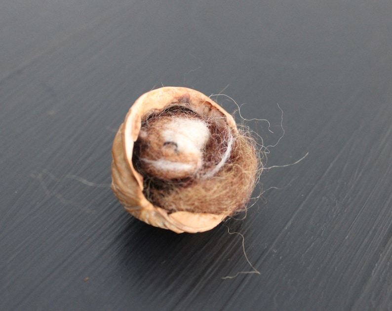 May include: A small, brown, felt animal curled up inside a hollowed-out walnut shell.